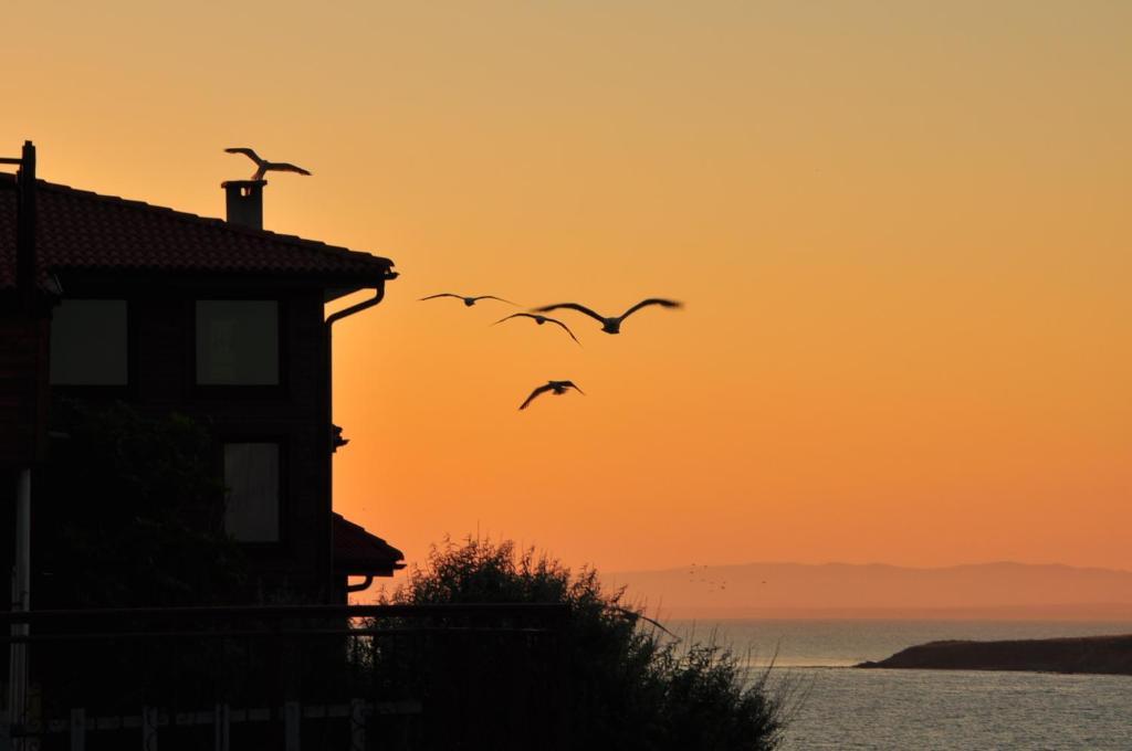 Deep Blue Guest House سوزوبول المظهر الخارجي الصورة